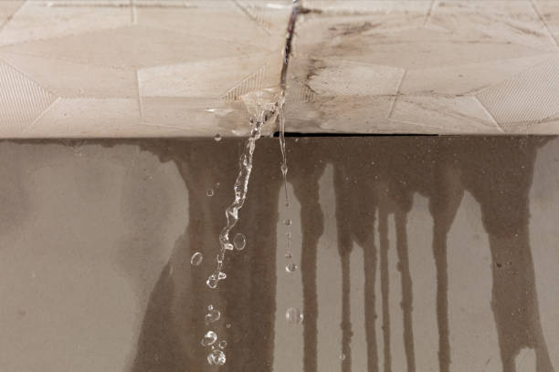 Professional Sewage Cleanup technician working in Fort Thomas, KY